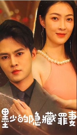 墨少的隐藏罪妻海报